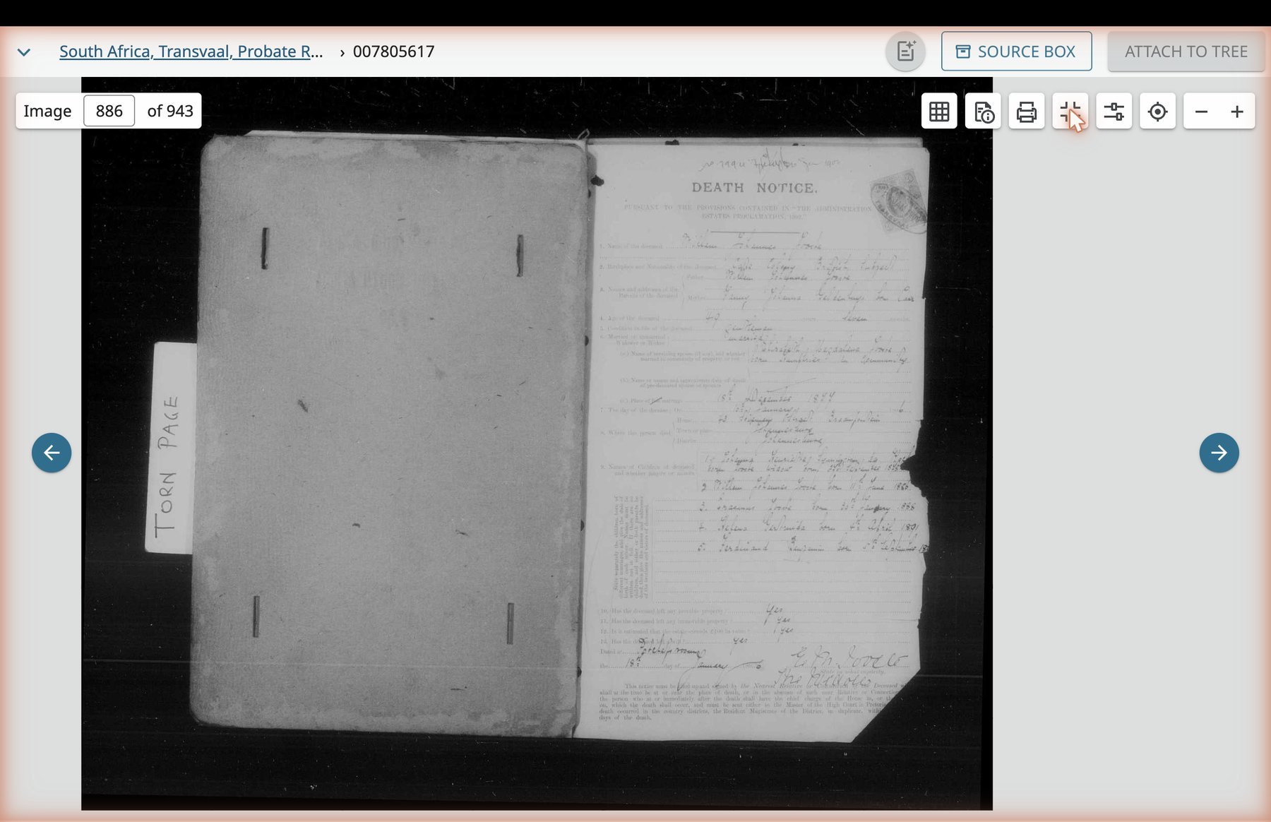 The Death Notice for Willem Johannes Jooste, image 886 of the file. The left page of the folio is torn; the right page carries the printed Death Notice form with handwritten responses.